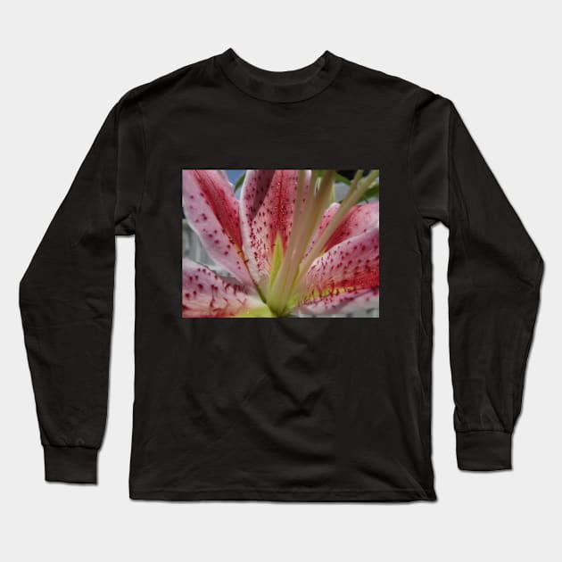 Beautiful photograph of lily flower Long Sleeve T-Shirt by Annalisseart24